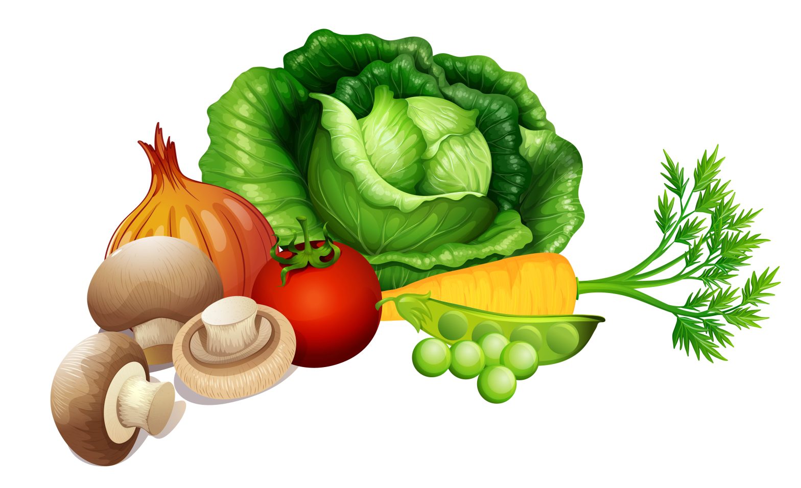 Fresh/Organic products
